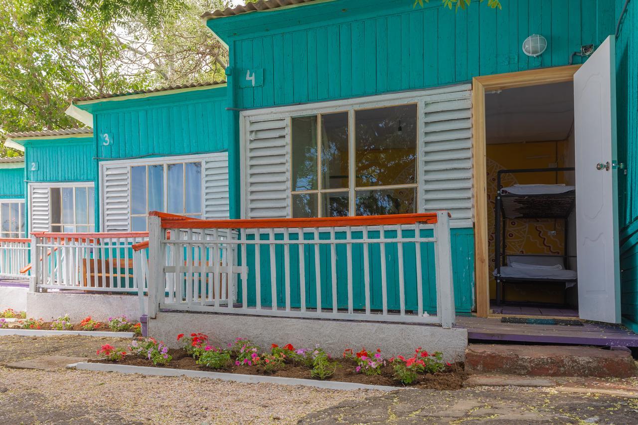 Steller Hostel & Camping Odessa Extérieur photo